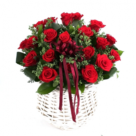 ����ll